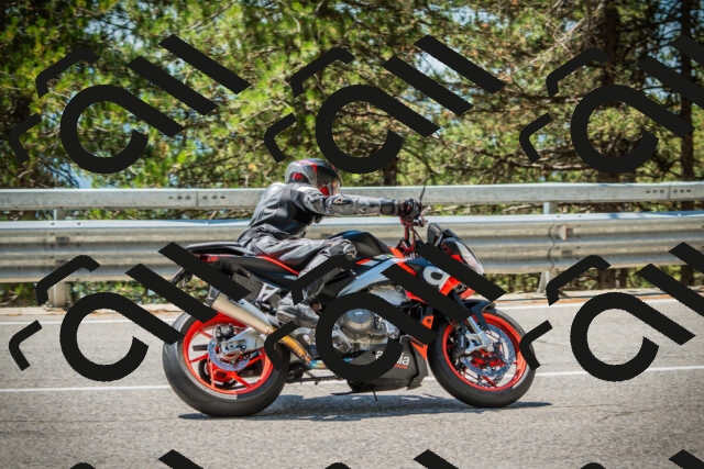 202508091248-DSC04934_c1_