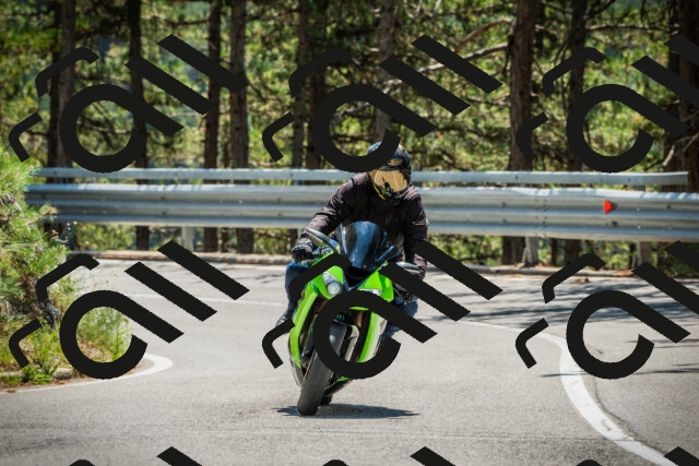 202508091249-DSC04936_c1_