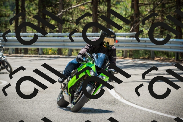 202508091249-DSC04937_c1_