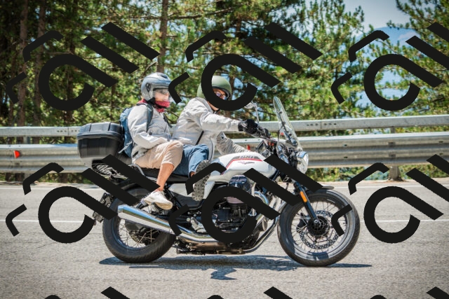 202508091249-DSC04942_c1_