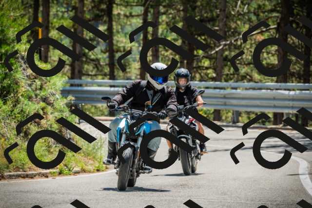 202508091250-DSC04944_c1_