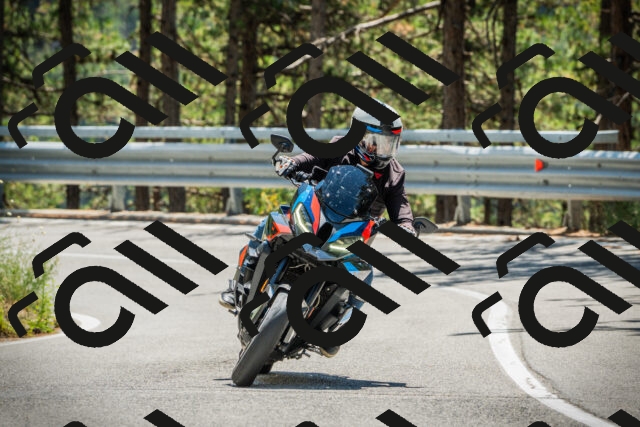 202508091251-DSC04951_c1_