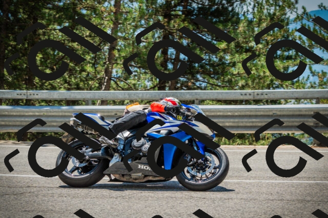 202508091251-DSC04959_c1_