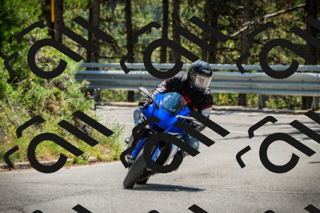 202508091252-DSC04967_c1_