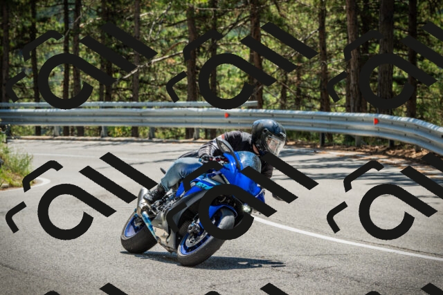 202508091252-DSC04968_c1_