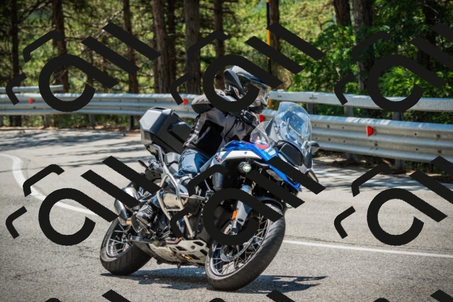 202508091252-DSC04974_c1_