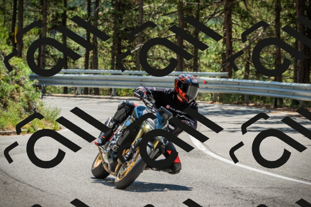 202508091253-DSC04986_c1_