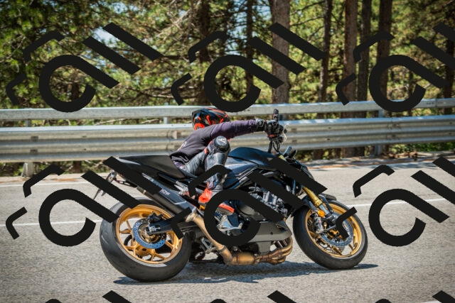 202508091253-DSC04988_c1_