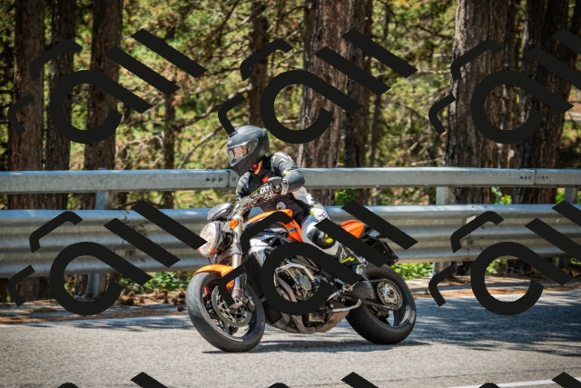 202508091253-DSC04993_c1_