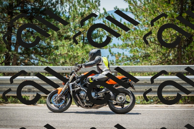 202508091253-DSC04994_c1_