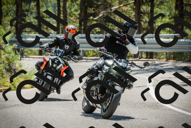 202508091253-DSC04996_c1_