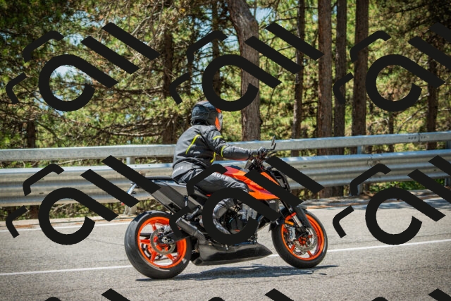 202508091253-DSC05000_c1_