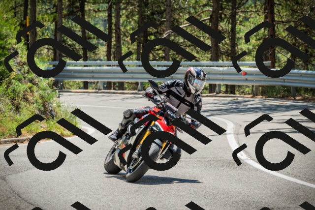 202508091254-DSC05003_c1_