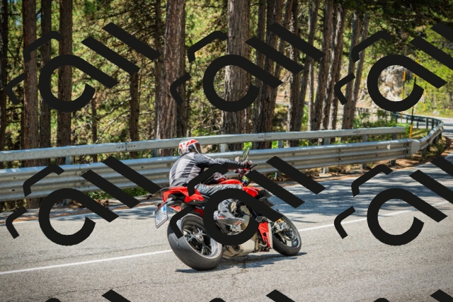 202508091254-DSC05006_c1_