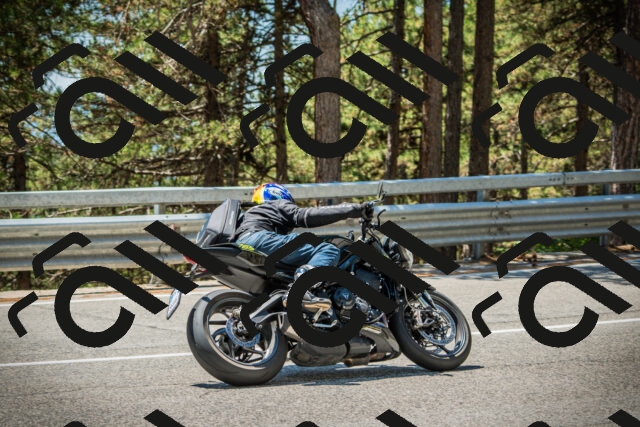 202508091255-DSC05010_c1_