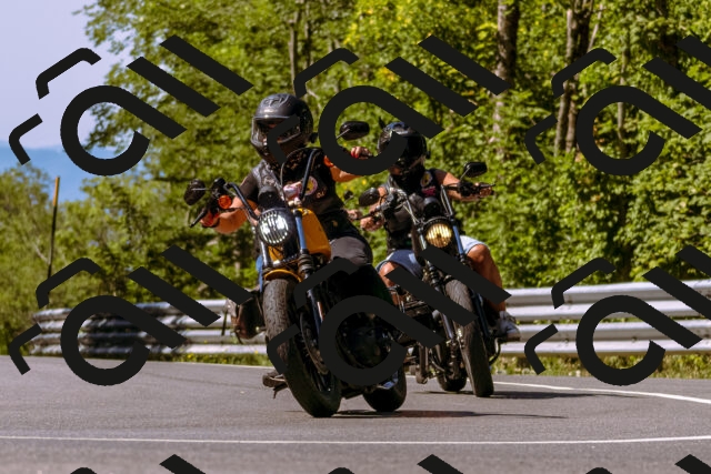 202508091049-_DSC5753_d1_