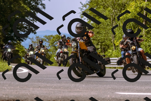 202508091049-_DSC5754_d1_