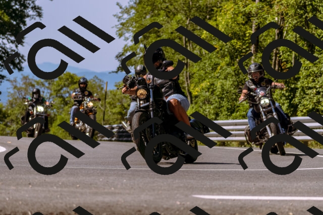 202508091049-_DSC5755_d1_