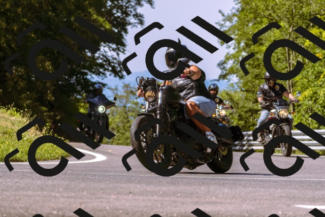 202508091049-_DSC5756_d1_