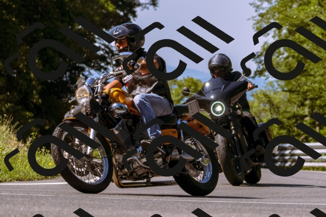 202508091050-_DSC5762_d1_