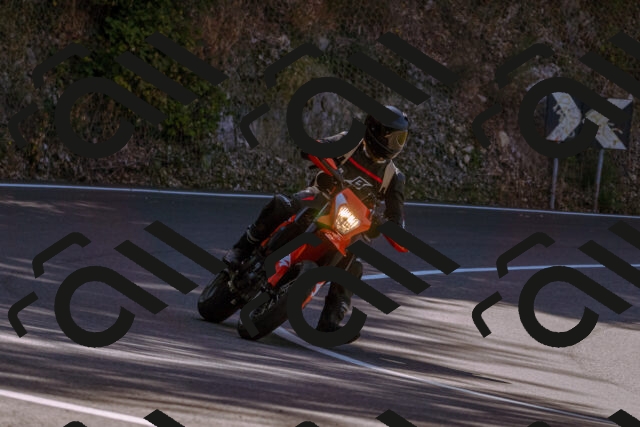 202508091050-_DSC5771_d1_