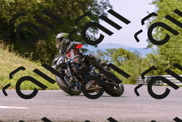 202508091051-_DSC5777_d1_