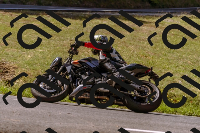 202508091051-_DSC5779_d1_