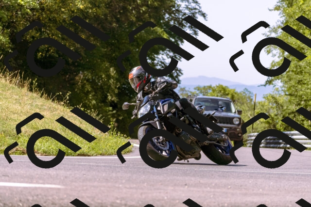 202508091051-_DSC5780_d1_