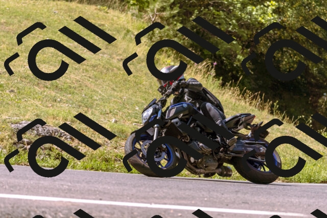 202508091051-_DSC5781_d1_