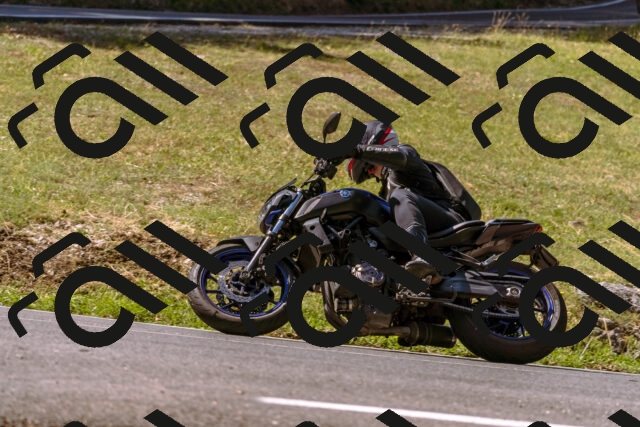 202508091051-_DSC5782_d1_