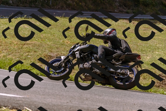 202508091051-_DSC5783_d1_