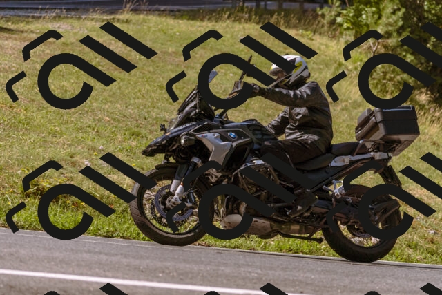 202508091051-_DSC5785_d1_