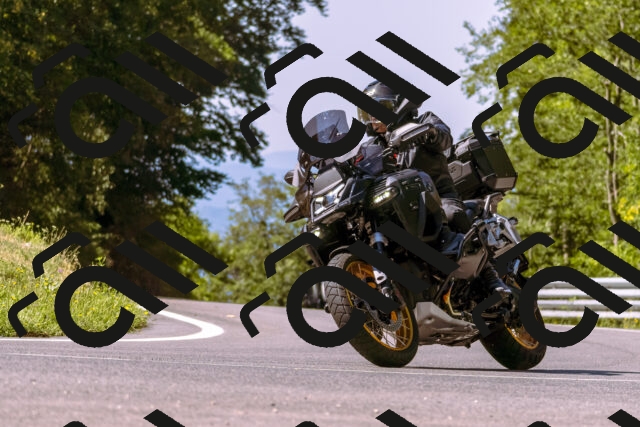 202508091051-_DSC5787_d1_