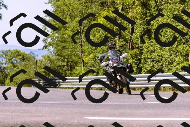 202508091051-_DSC5791_d1_