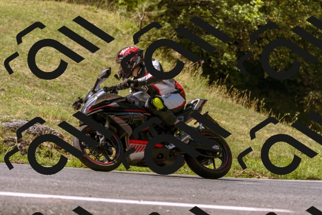 202508091051-_DSC5796_d1_