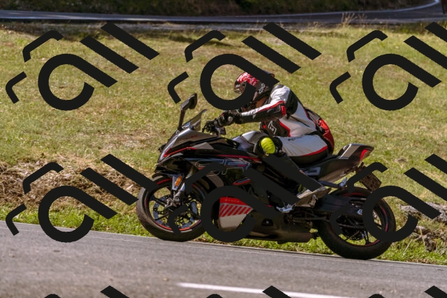 202508091051-_DSC5797_d1_