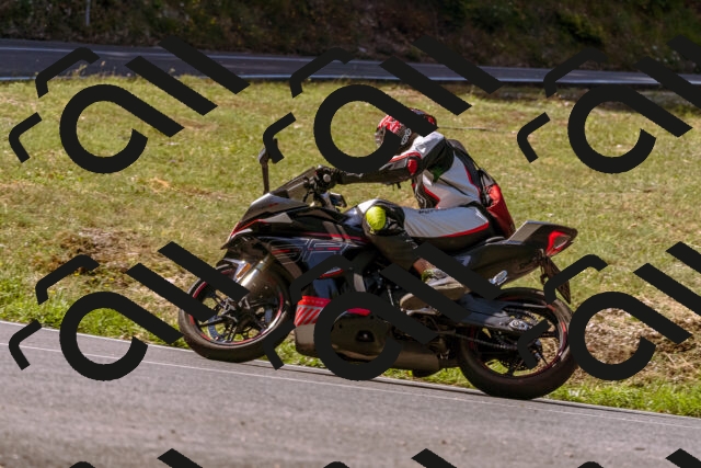 202508091051-_DSC5798_d1_