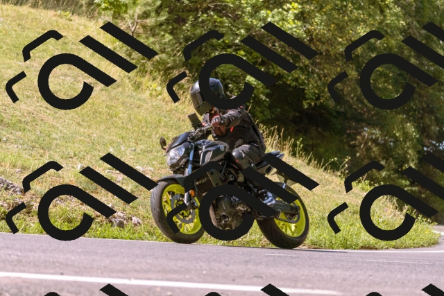 202508091052-_DSC5799_d1_