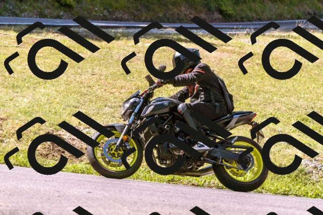 202508091052-_DSC5801_d1_