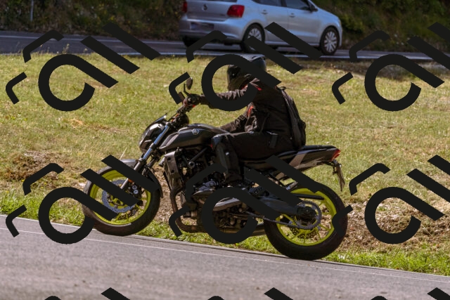 202508091052-_DSC5802_d1_