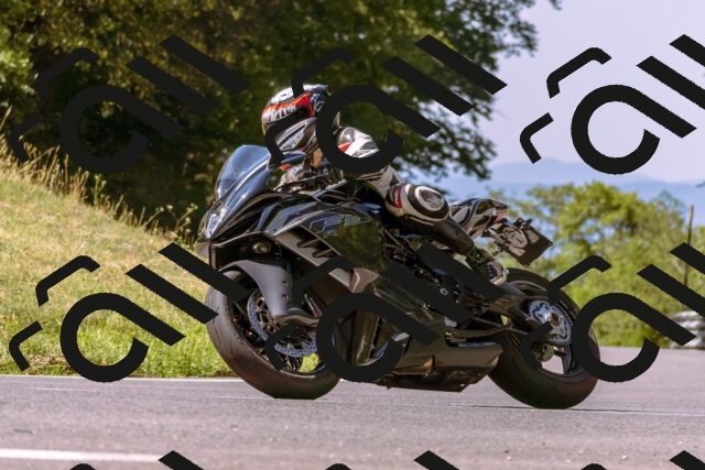 202508091053-_DSC5803_d1_