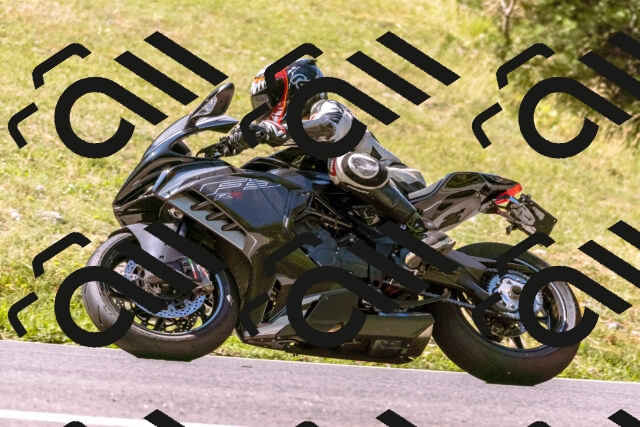 202508091053-_DSC5804_d1_