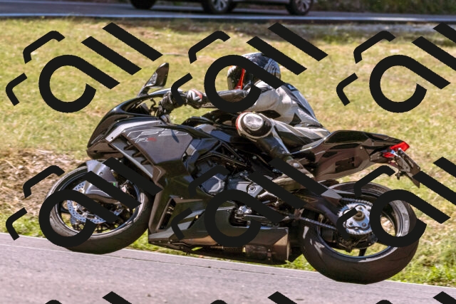 202508091053-_DSC5805_d1_