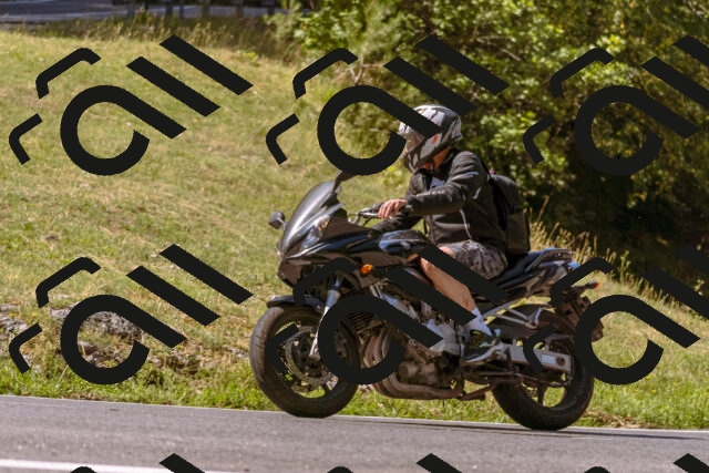 202508091055-_DSC5806_d1_