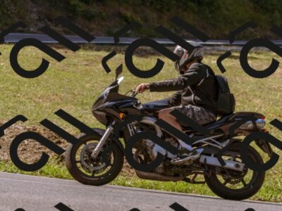 202508091055-_DSC5808_d1_