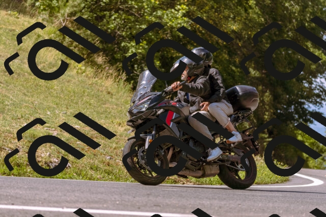 202508091056-_DSC5809_d1_