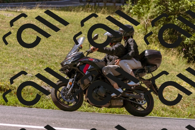 202508091056-_DSC5810_d1_