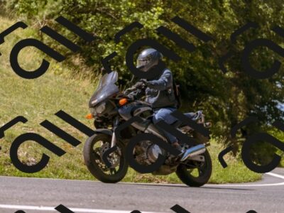 202508091056-_DSC5812_d1_