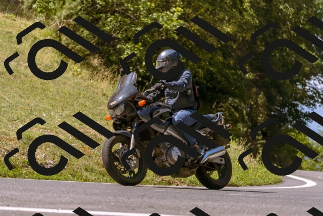 202508091056-_DSC5812_d1_