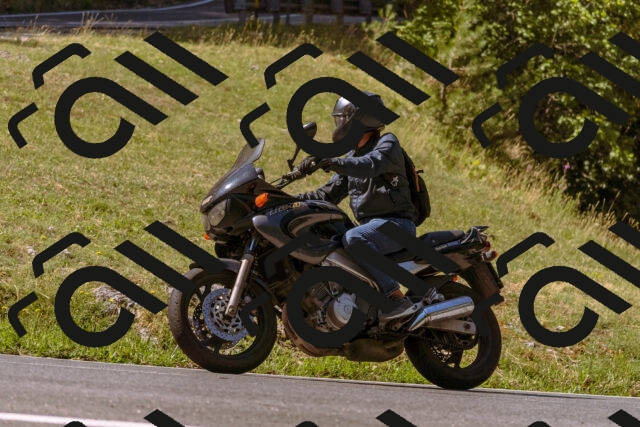 202508091056-_DSC5813_d1_